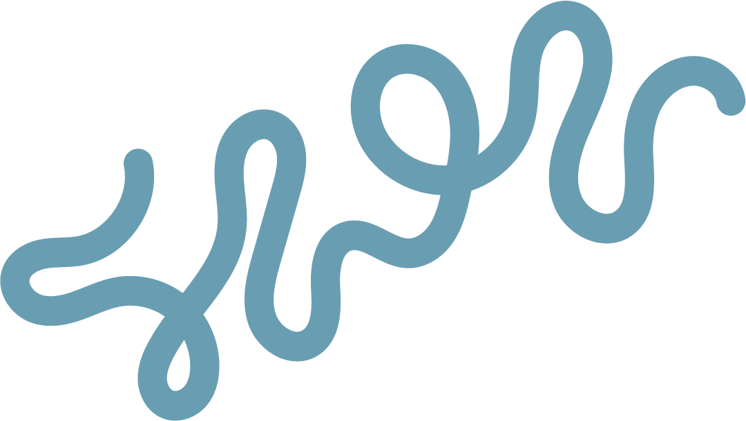 decorative shape