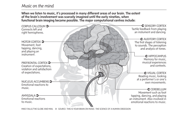 Music and our brains