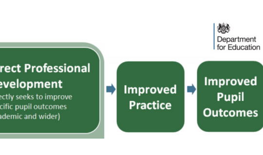 Standard for Teachers Professional Development