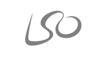 Grey LSO logo