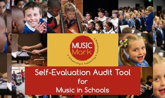 Self-Evaluation Audit Tool for Music in Schools