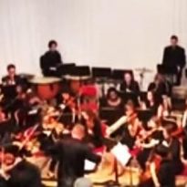 Sandwell Youth Symphony Orchestra perform at Shireland Collegiate Academy